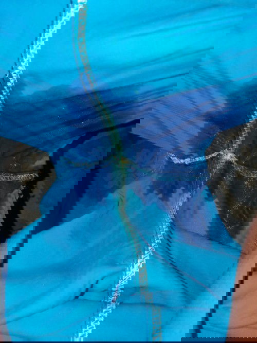 เขาเรียกน้ำเดินหรือป่าวคะ ท้องแรกค่ะ 39  วีค