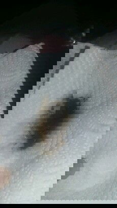 ตอน  6:22   เราปวดฉี่เราเลยไปเข้าห้องน้ำ