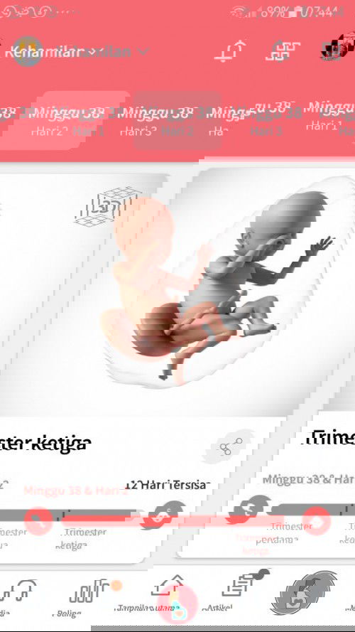 12 hari jelang hari lahir