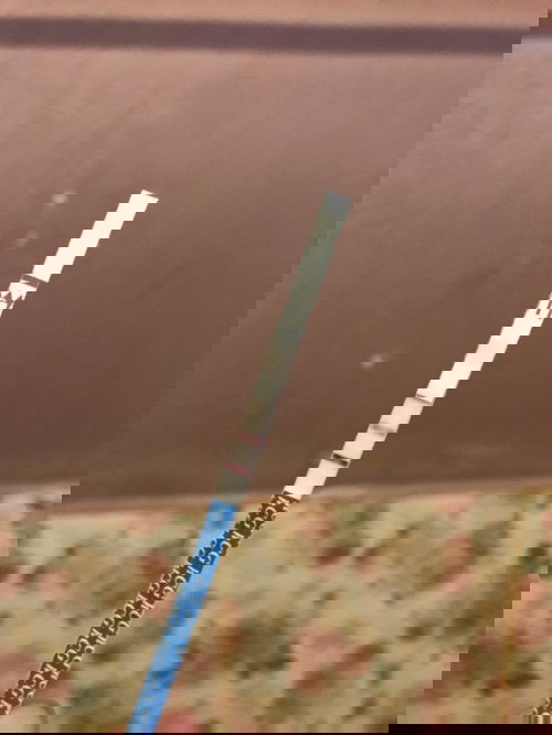 ไวไปมั้ย หรือ พอดีแล้ว