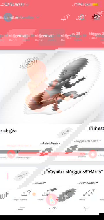 Hari Perkiraan Lahir