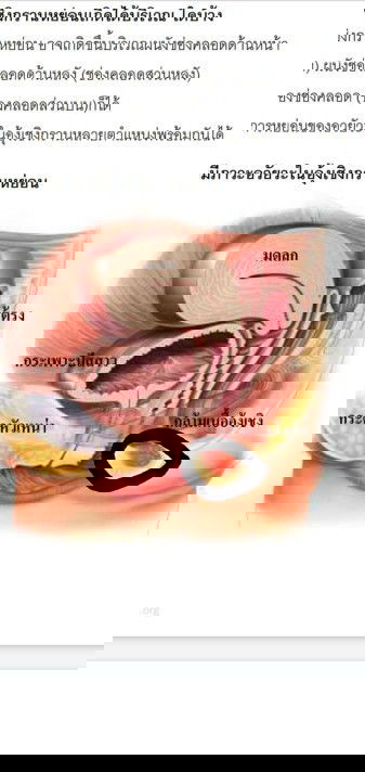 สอบถามหน่อยค่ะ