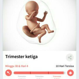 Bunda2 sudah ngerasain apa aja ?