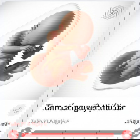 8 ngày đếm ngược.