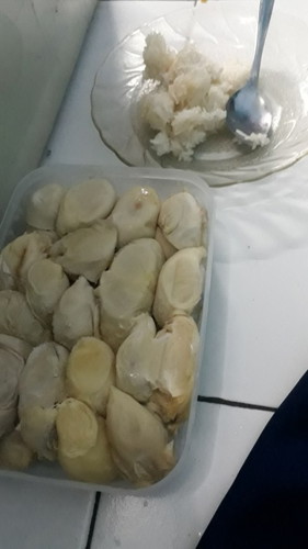 Boleh tidak
