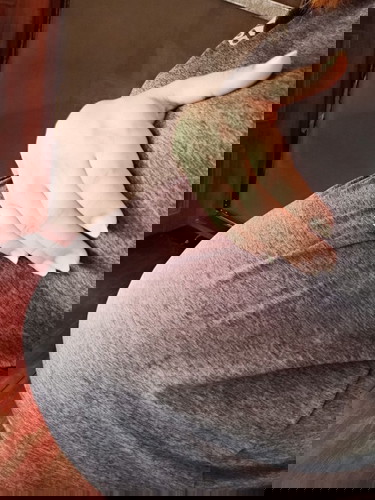 สงสัยใกล้จะออกแล้ว