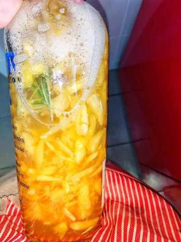 F2 kombucha