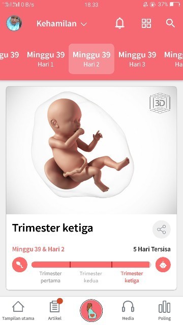 mendekati hpl