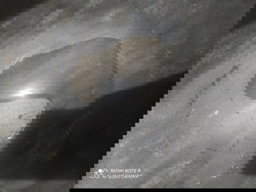 apakah air ketuban ?