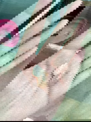 ขอสอบถามแม่ๆหน่อยคะ