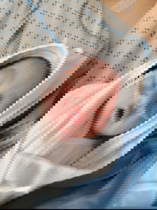 not pregnant  (baby boy)