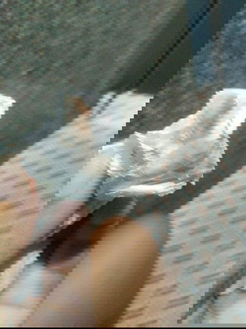 แม่ๆแบบนี้อันตรายไหมค่ะ