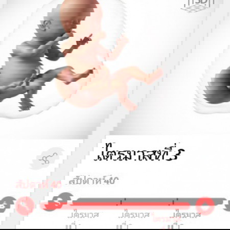 40 วีคเต็ม