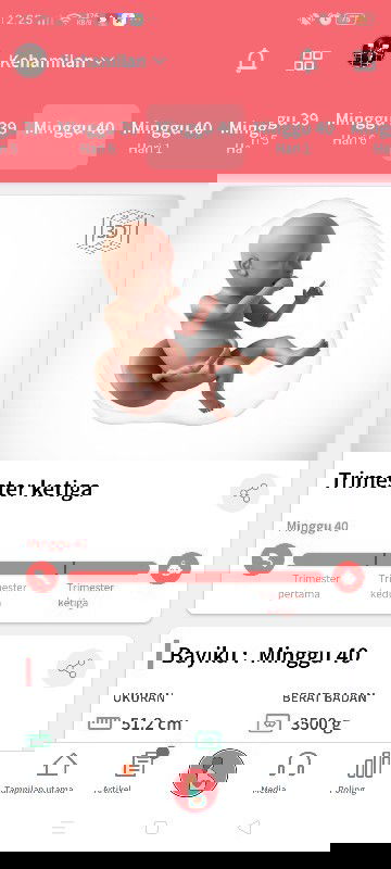 sudah memasuki 40 minggu