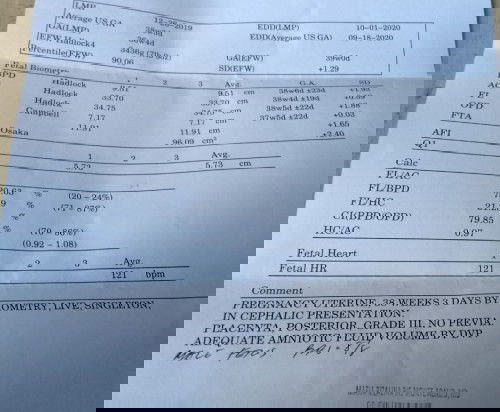 PregnancyTeamSeptember