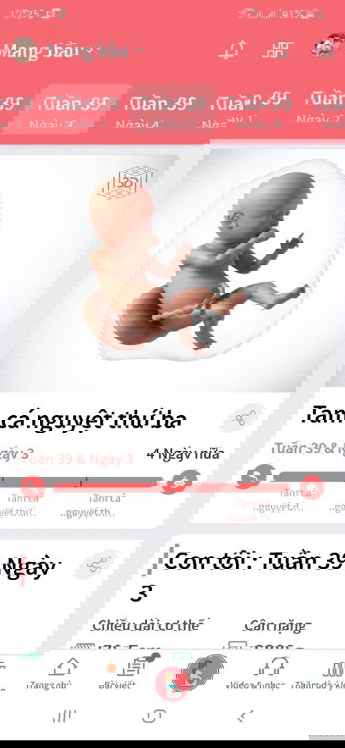 Chuột trai tháng 9