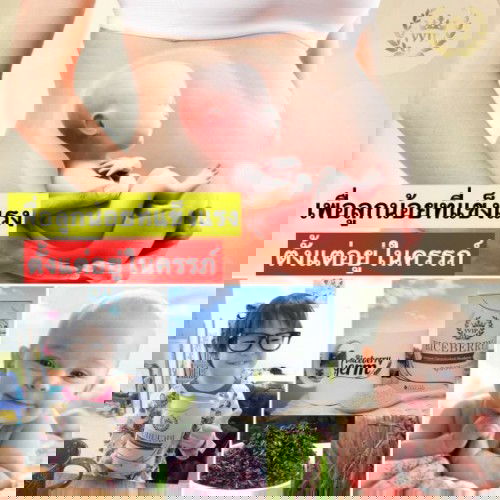 ใครเคยทานตัวนี้บ้างคะ