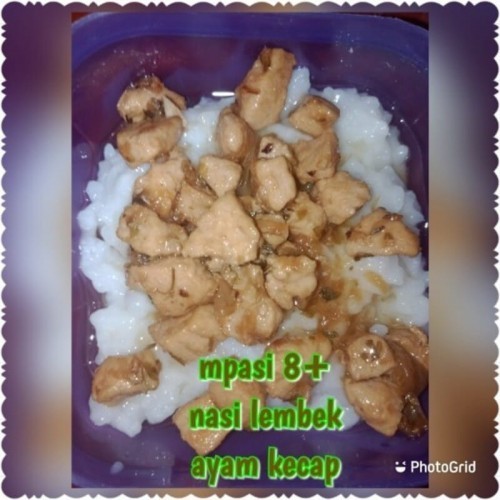Resep MPASI 8+ : nasi lembek ayam kecap