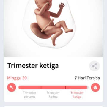HPL sbentar lg