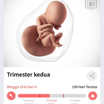Tendangan janin