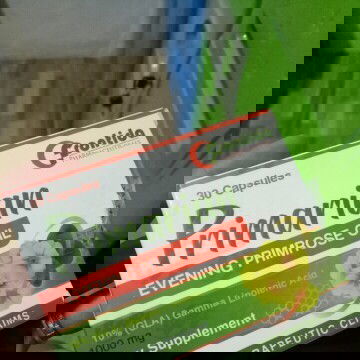 Primarian Evening Primrose