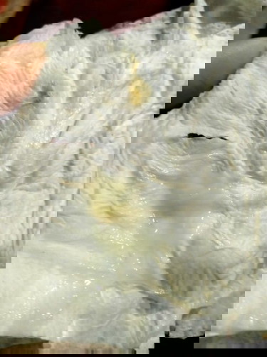 มีมูกขาวแบบนี้ออกทั้งวัน เช็ดได้ทุกครั้งที่เข้าห้องน้ำจะคลอดหรือป่าวคะ