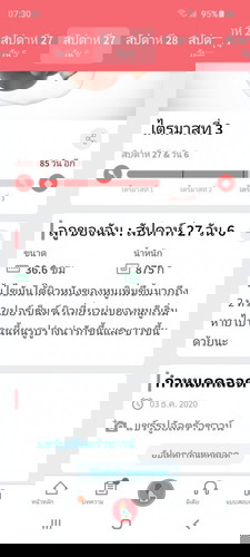 น้ำหนักลูก