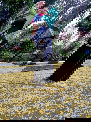 Pentingnya MengASIhi