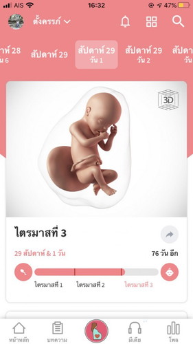 29 สัปดาห์ 1วัน