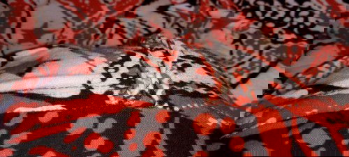 Usia kehamilan sudah lewat tgl perkiraan lahiran