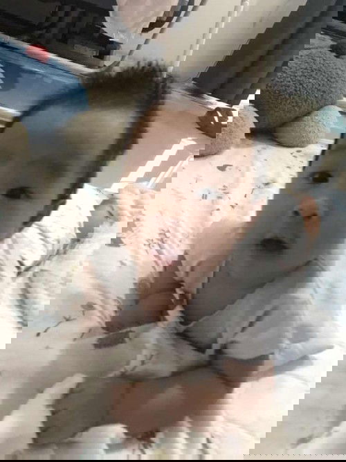 ลูกน้อย 3 เดือน