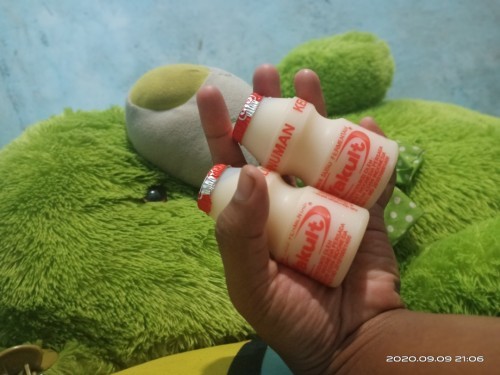 Boleh kah minum Yakult
