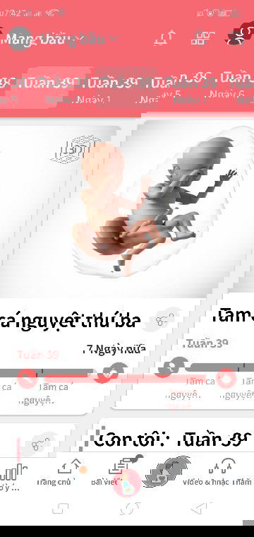 hóng ngày gặp con yêu