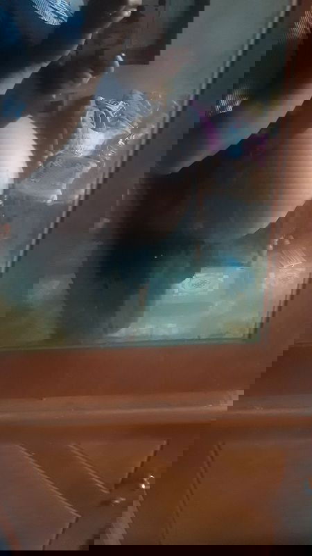 Mang Thai lần đầu