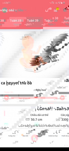 Bầu lo lắng