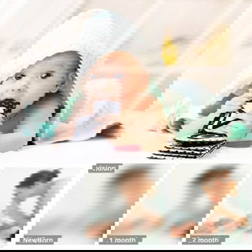 Visual Development of Newborn