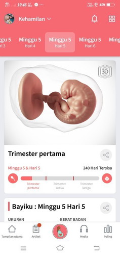 Mual tp ga sampai muntah