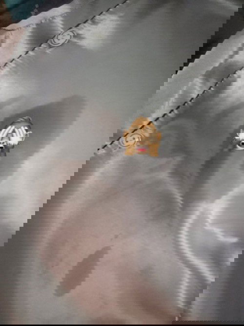 น้ำนมไหลตอน 19 สัปดาห์