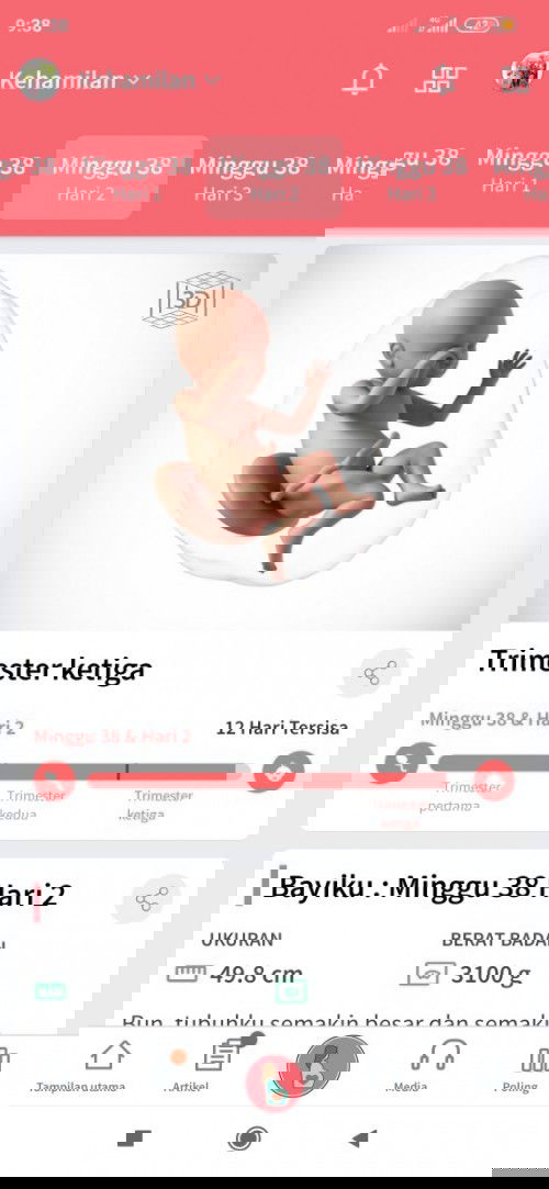 Belum ada tanda tanda 😭