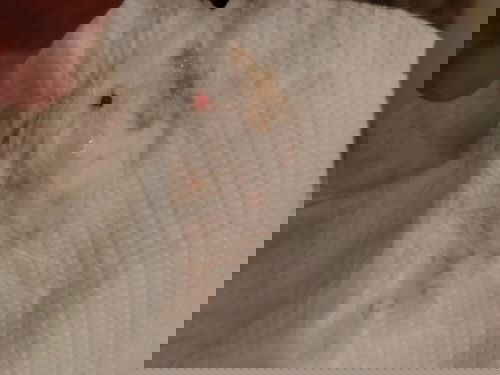 แม่ๆคะ ควรไปหาหมอเลยไหมคะ