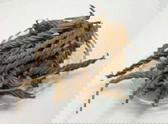 Kayu oleh/ules/puteran