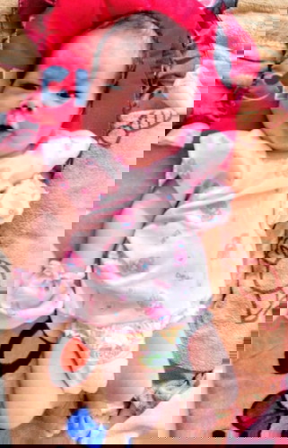 ไอ่อ้วง.....🐷