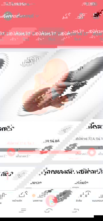 37สัปดาห์ 3วัน