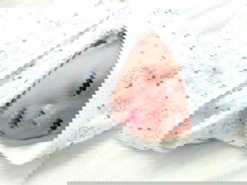 เเตกเเล้วจ้า