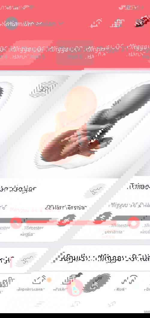 Menghitung hari,, ada yg samaan??