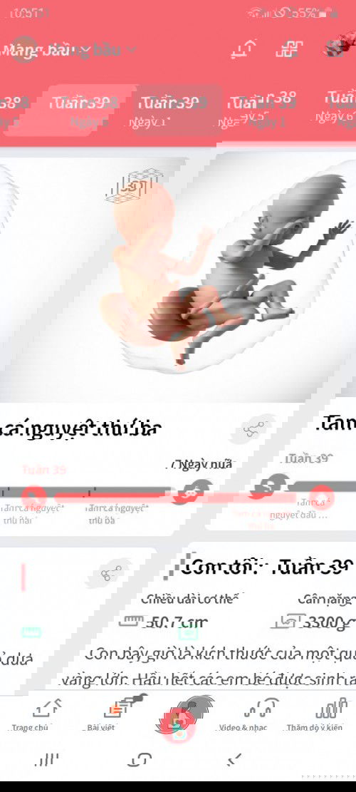 Chuẩn bị lên thớt