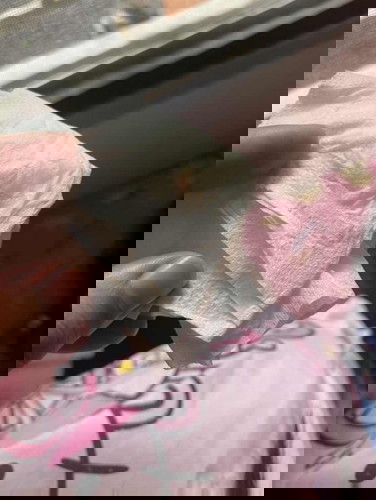 มีมูกเลือดออก