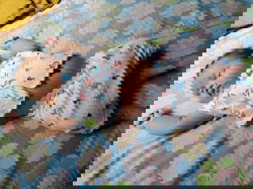 น้องได้ 1เดือน 28 วันค่ะ น้ำหนัก 6.5โล