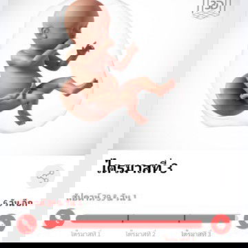 อีกไม่กี่วันก้จะได้ออกมาดูโลกแล้วว