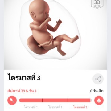 อีกไม่กี่วันก้จะได้ออกมาดูโลกแล้วว